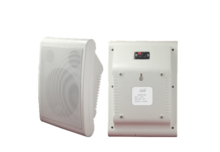 壁挂扬声器 CS202